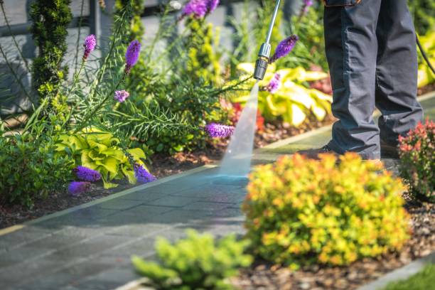 Best Concrete Surface Cleaning in Hutchinson, KS